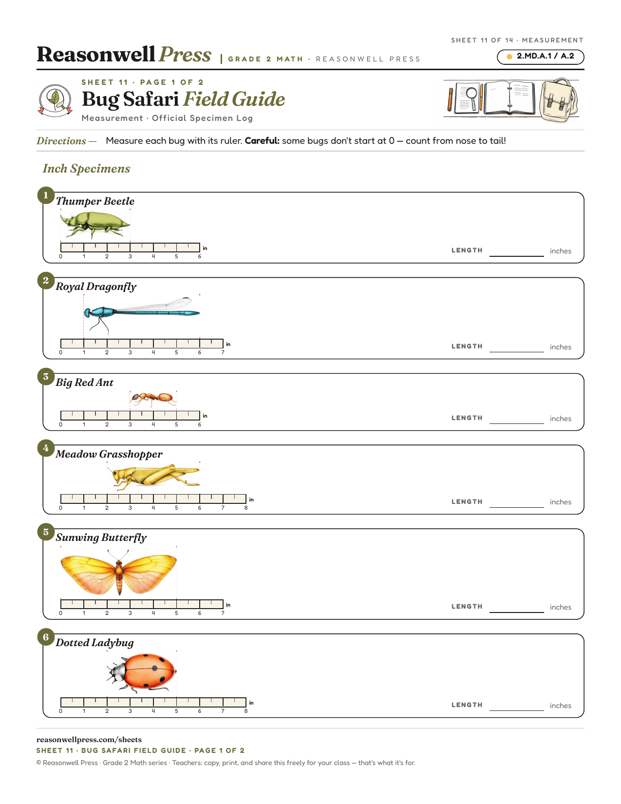 2nd Grade Measurement Worksheets printable worksheet preview
